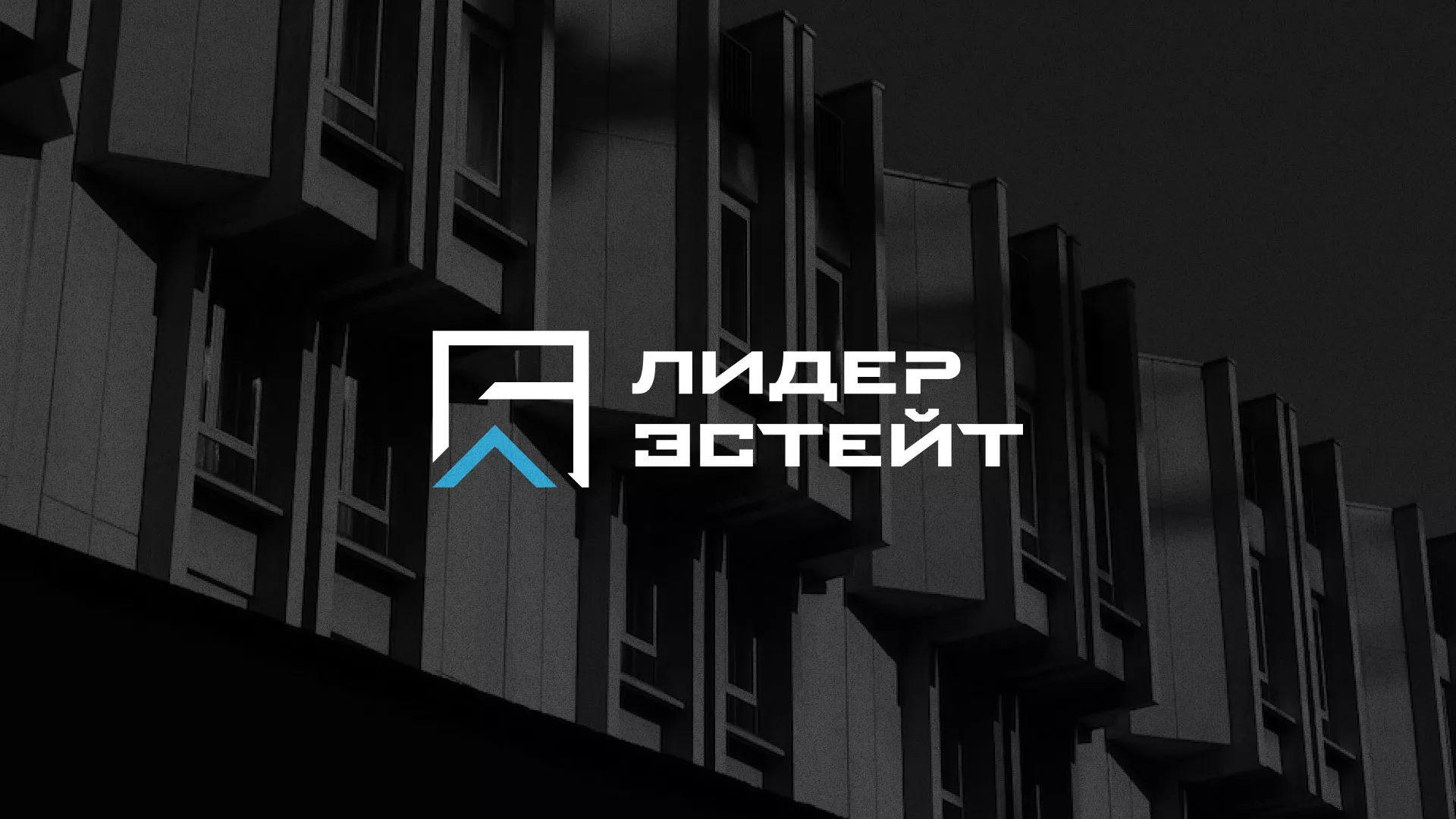 Разработка логотипа агентства недвижимости «Лидер Эстейт» в Кирсе